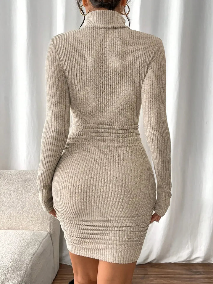 Halcyon Ribbed Turtleneck Dress