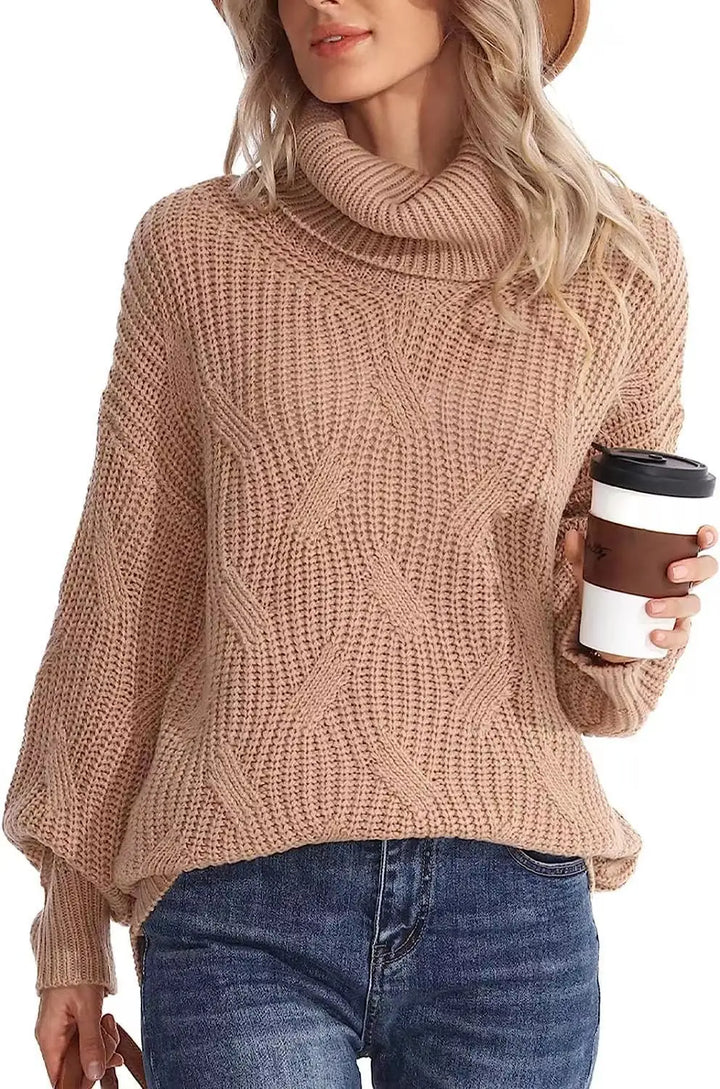 Elowen Cable Knit Turtleneck Sweater
