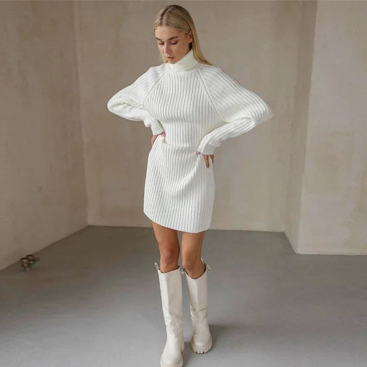 Vesper High Neck Sweater Dress