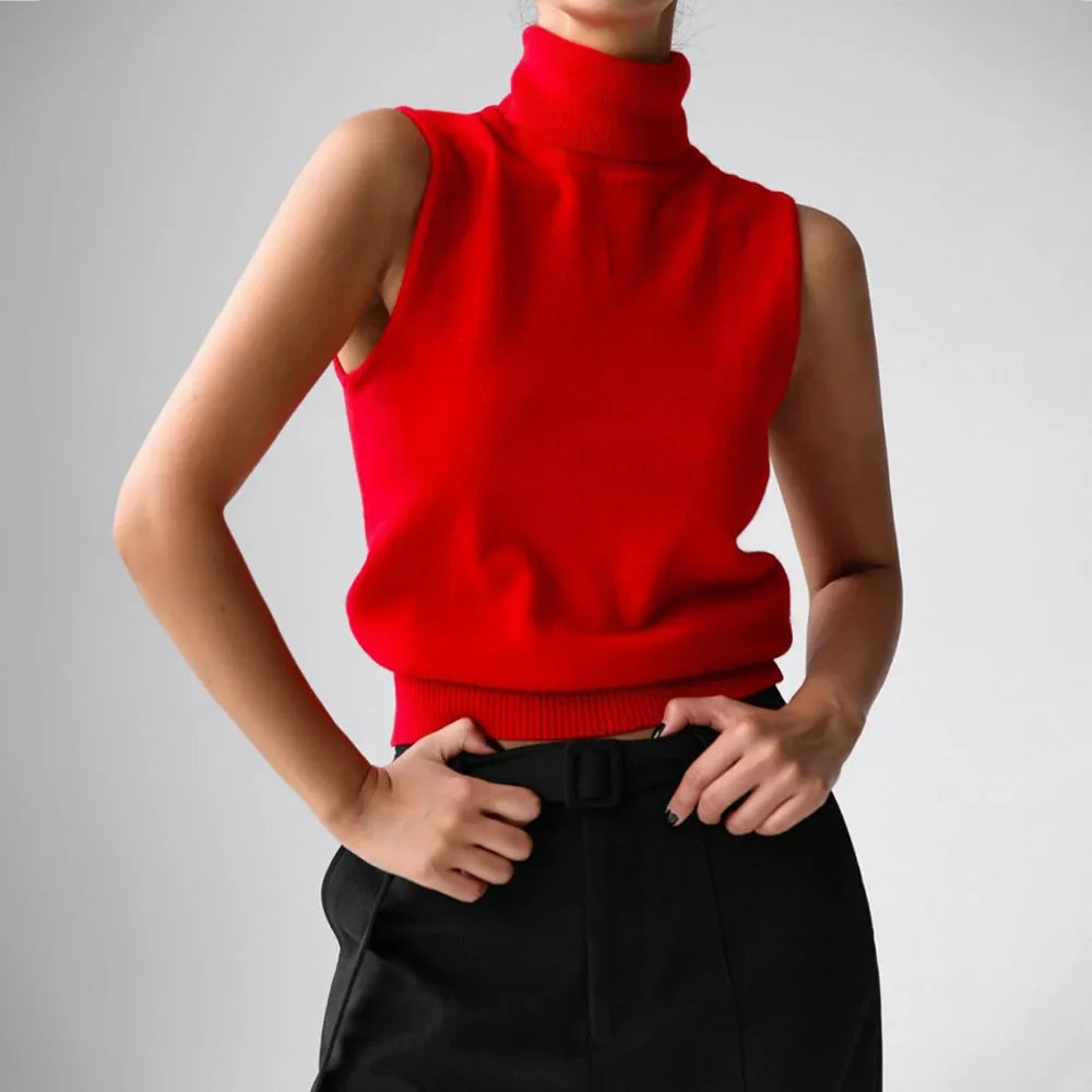 Sadona Turtleneck Knit Top