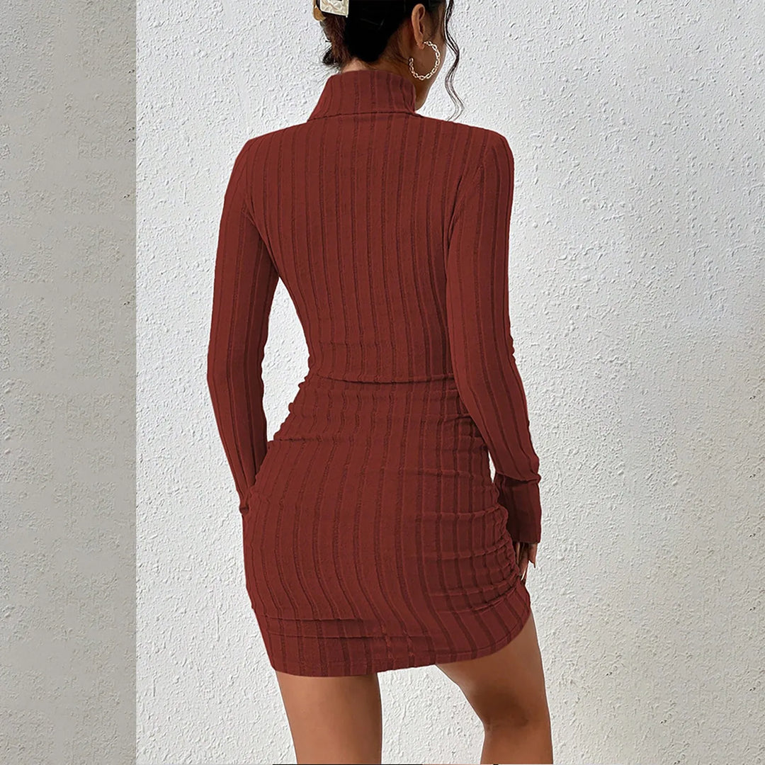 Larkspur Turtleneck Sheath Dress
